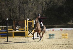 Concours hippique Centre équestre Le Palis Vaison-la-Romaine Vaucluse