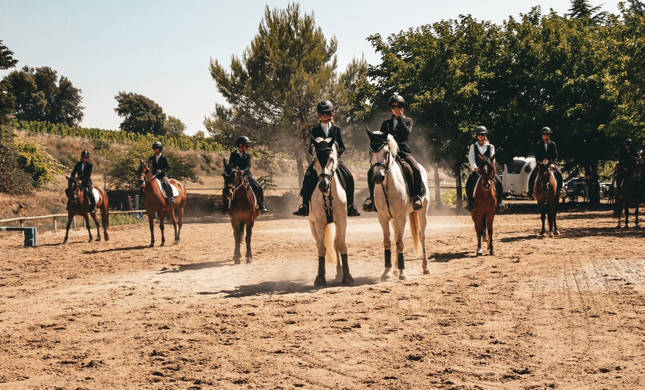 Equitation Centre équestre Le Palis Vaison-la-Romaine Vaucluse