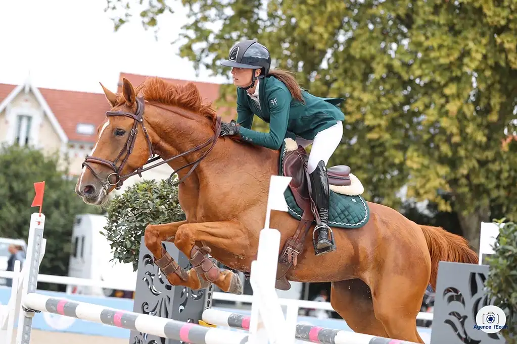 Concours équitation Centre équestre Le Palis Vaison-la-Romaine Vaucluse