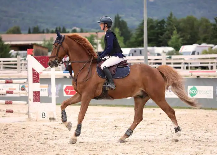 Concours cso Equitation Centre équestre Le Palis Vaison-la-Romaine Vaucluse